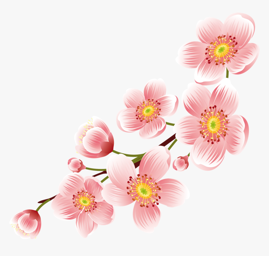 Transparent Cherry Blossom Png - Png Transparent Background Flowers Png, Png Download, Free Download