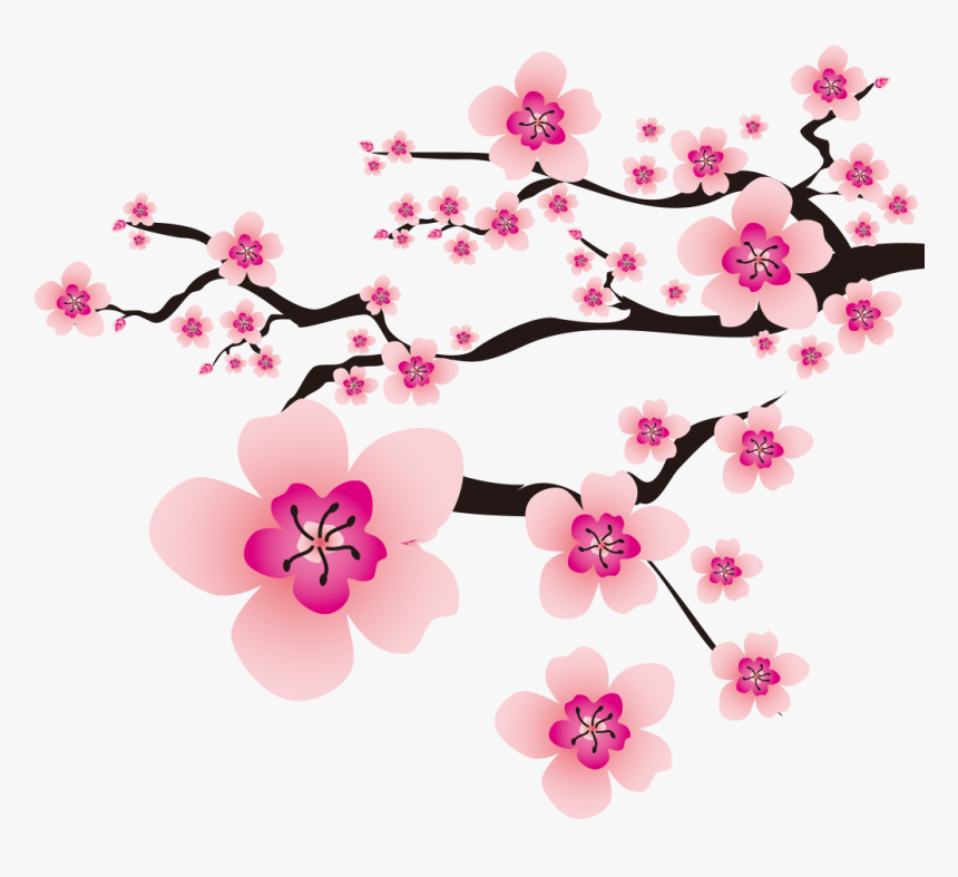 Background Bunga Sakura Png Clipart , Png Download - Flower Sakura Png, Transparent Png, Free Download