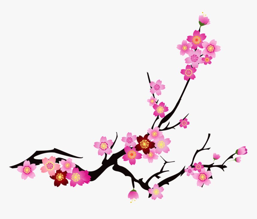 Transparent Cherry Blossom Clip Art - Cherry Blossom Vector Png, Png Download, Free Download