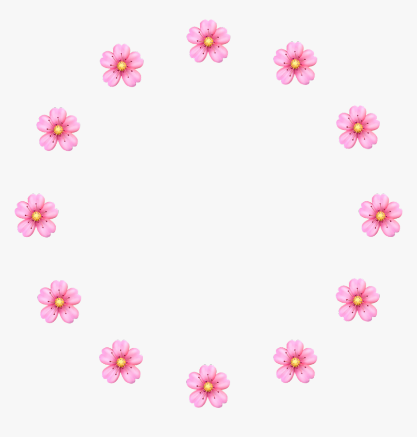 #vector #png #cherryblossoms #cherry #pink #flower, Transparent Png, Free Download