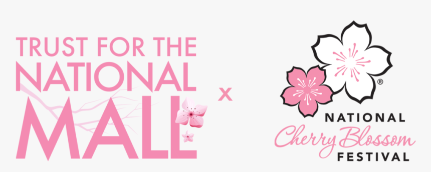 Logos Sidexside - National Cherry Blossom Festival Logo, HD Png Download, Free Download