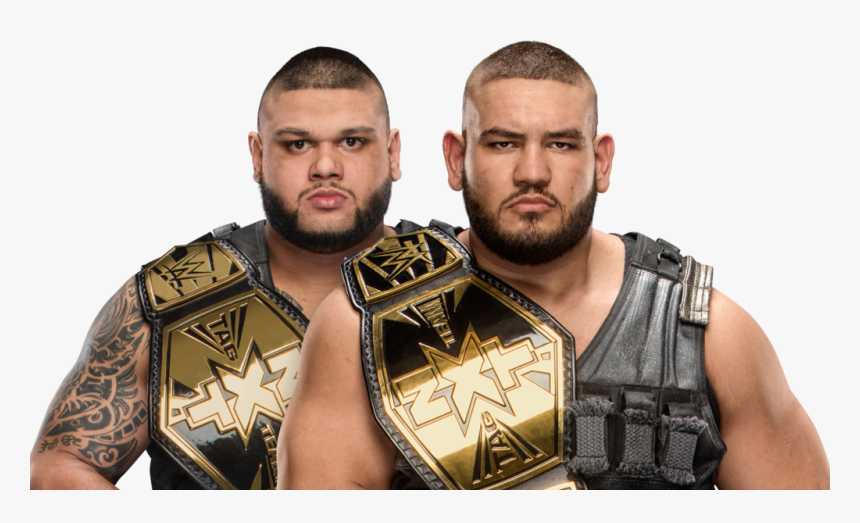 Authors Of Pain Nxt Tag Team Champions, HD Png Download, Free Download