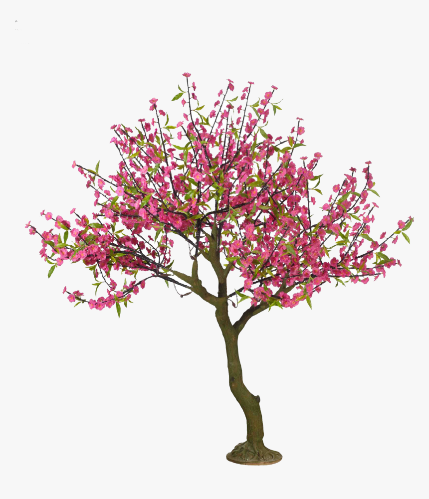 Cartoon Cherry Blossom Tree - Cherry Blossom Tree Png, Transparent Png, Free Download