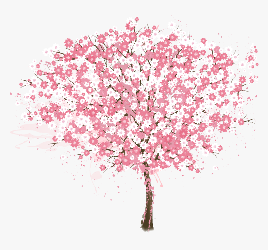 Cherry Blossom Tree - Cherry Blossom Tree Vector Png, Transparent Png, Free Download