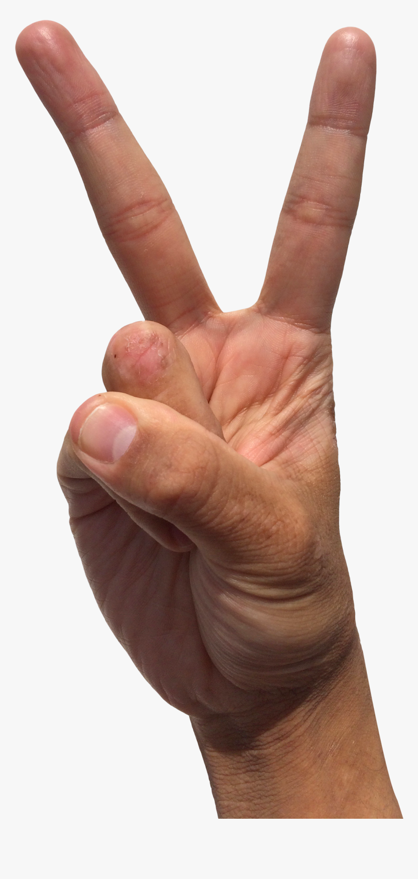 Transparent Peace Hand Png, Png Download, Free Download