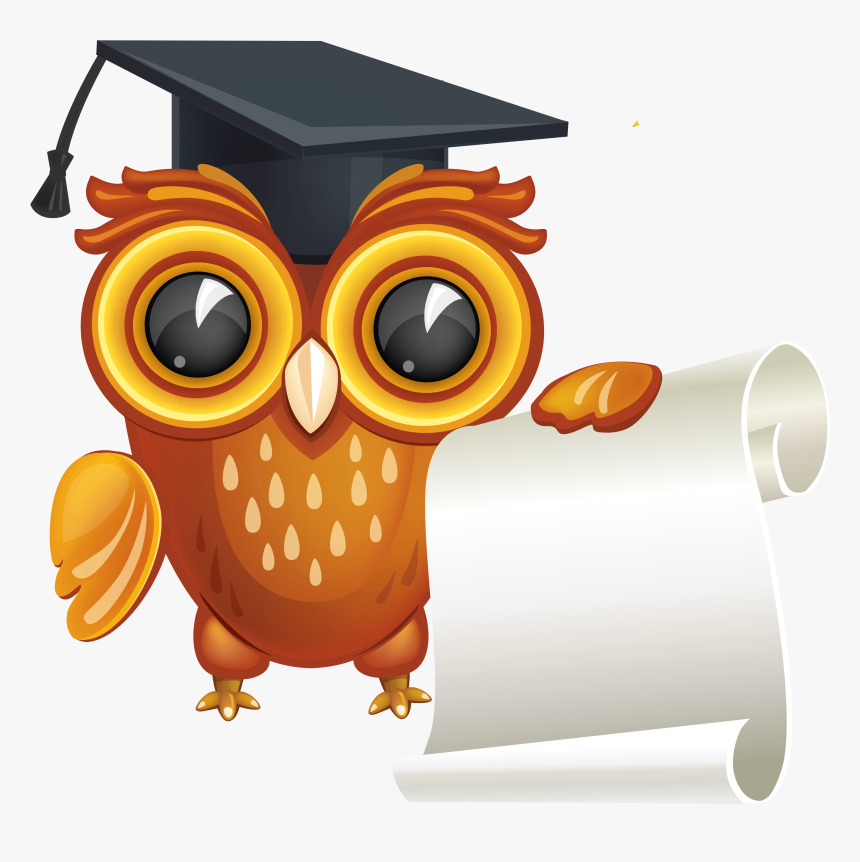 High School Diploma Graduation Ceremony Clip Art - Owl With Graduation Hat Clipart Png, Transparent Png, Free Download