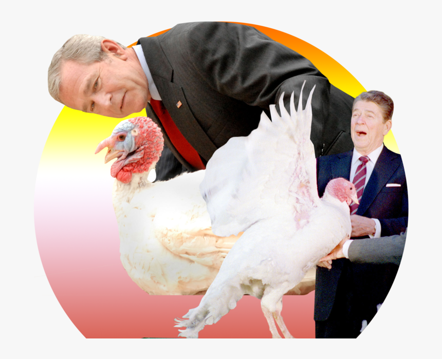 Transparent George W Bush Png - George W Bush Turkey, Png Download, Free Download