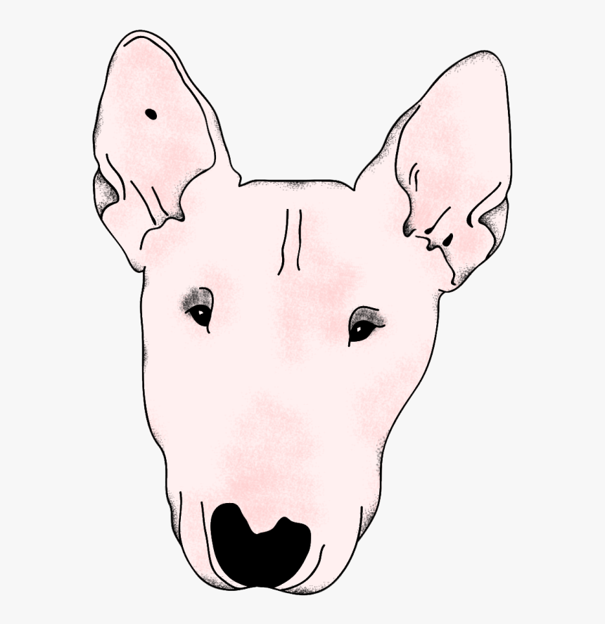 Bullterrier - Bull And Terrier, HD Png Download, Free Download