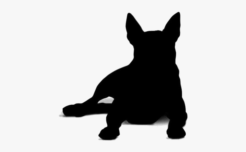 Transparent Bull Terrier Lying Down Png Image - Guard Dog, Png Download, Free Download