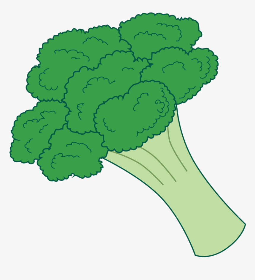 Pin By Courtney Patterson - Transparent Background Broccoli Clipart, HD Png Download, Free Download