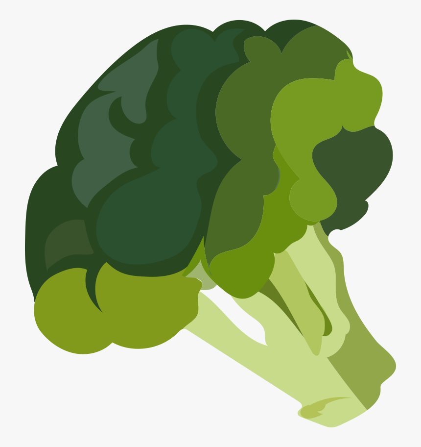 Transparent Clipart Broccoli - Steamed Broccoli Cartoon Transparent, HD Png Download, Free Download