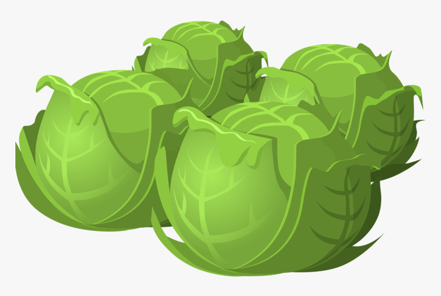 Brussel Sprouts Cartoon Png, Transparent Png, Free Download