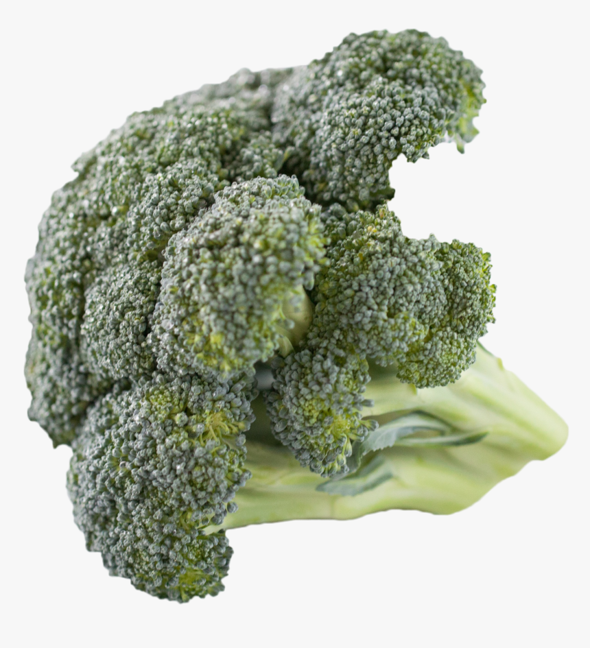 Transparent Brocolli Png, Png Download, Free Download