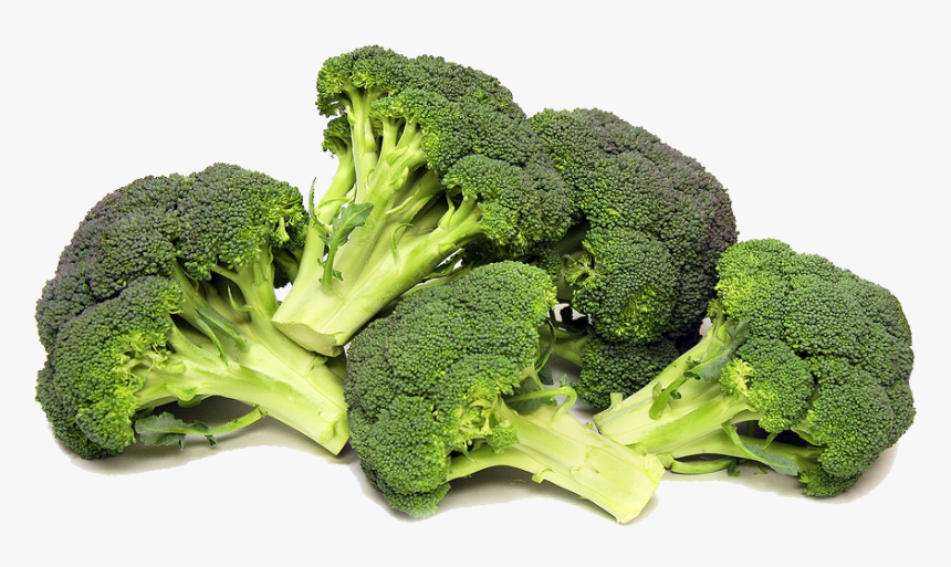 Download Png Image Report - Broccoli Png, Transparent Png, Free Download