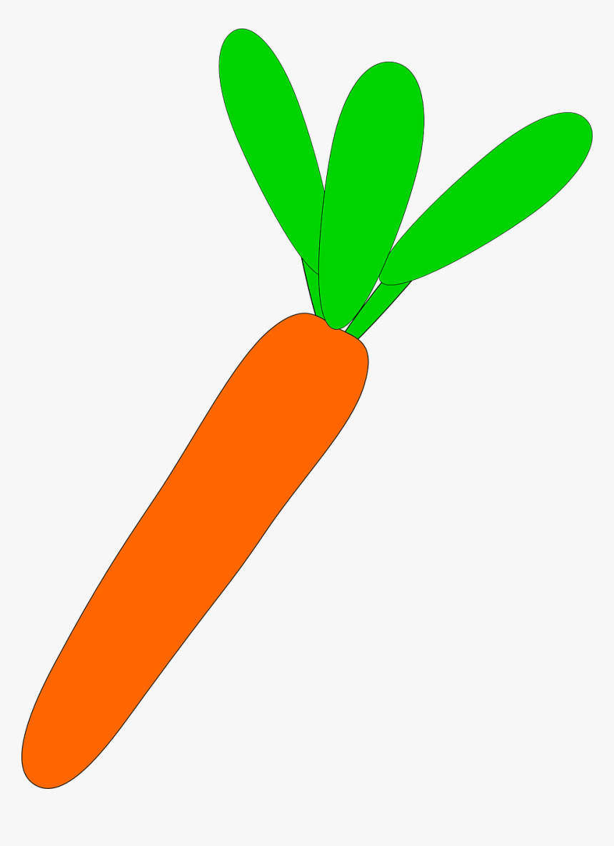 Food, Cartoon, Salad, Plant, Carrot, Broccoli - Carrot Cartoon, HD Png Download, Free Download