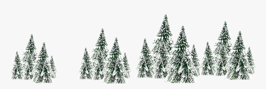 Winter Snow Spruce Tree - Tree, HD Png Download, Free Download