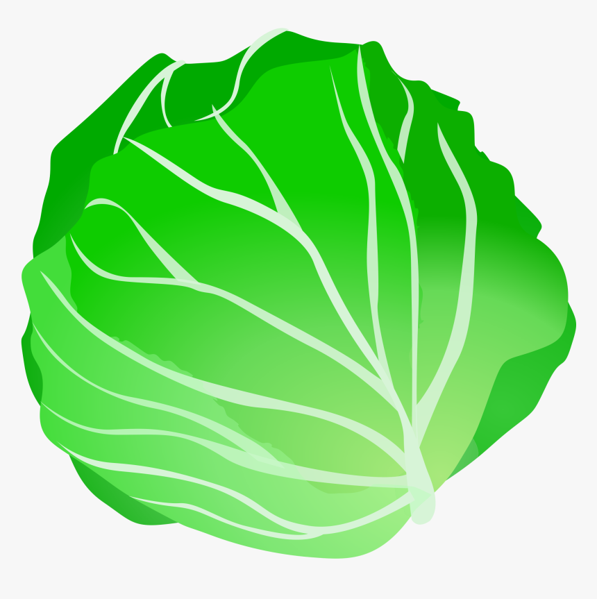 Cartoon Cabbage Clipart - Cabbage Clipart, HD Png Download, Free Download