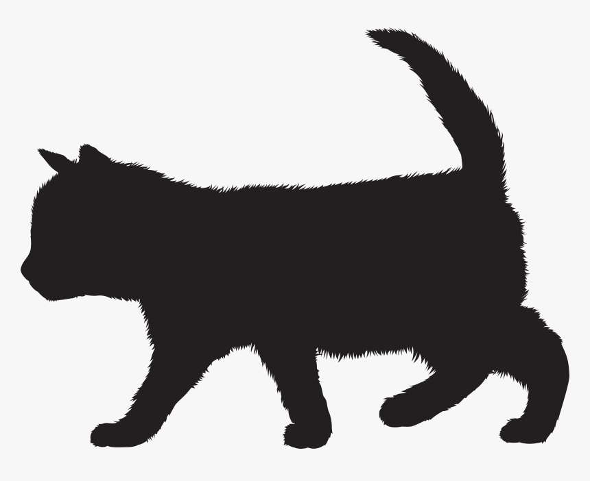 Kitten Black Cat Silhouette, HD Png Download, Free Download