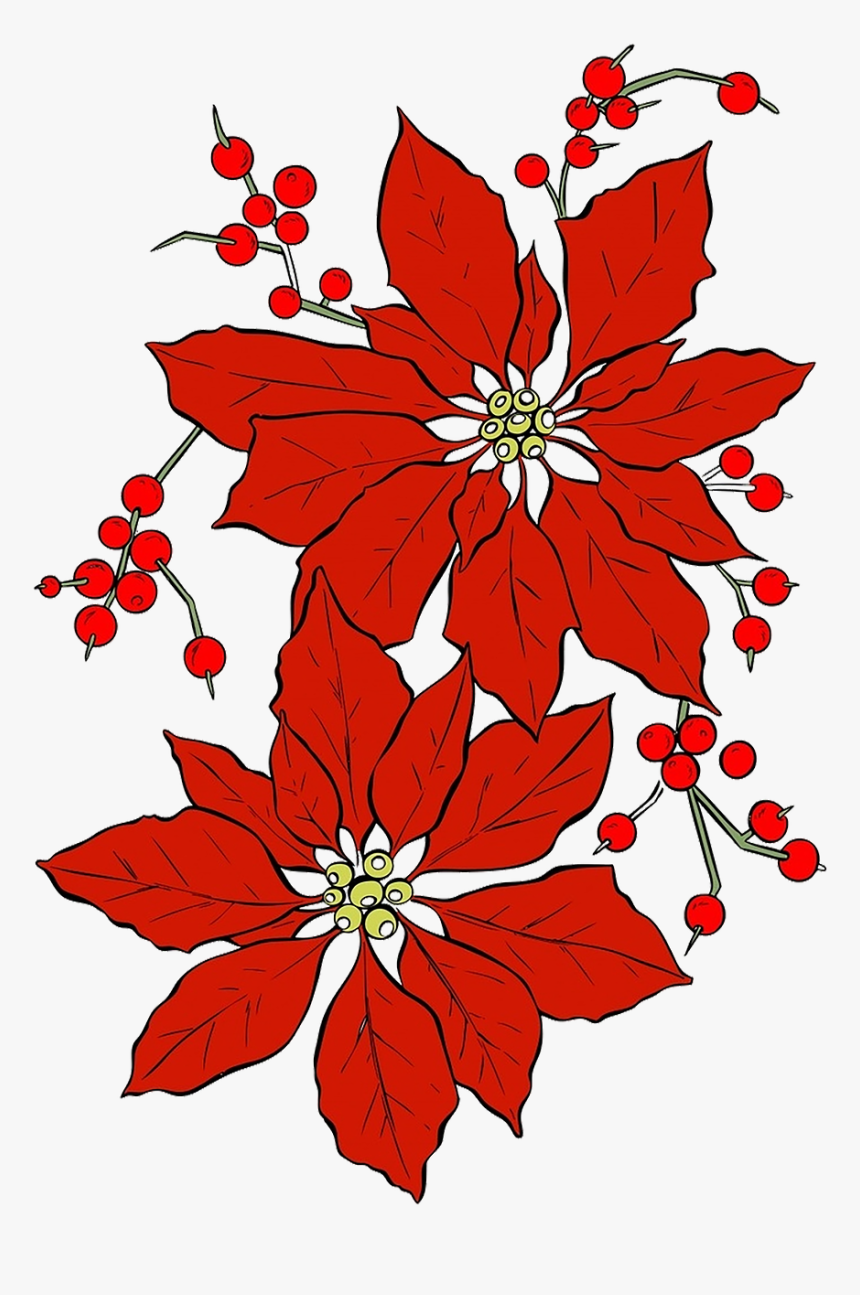 Poinsettia, Christmas, Red Flower, Seasonal, Isolated - Christmas Flowers Free Clipart, HD Png Download, Free Download