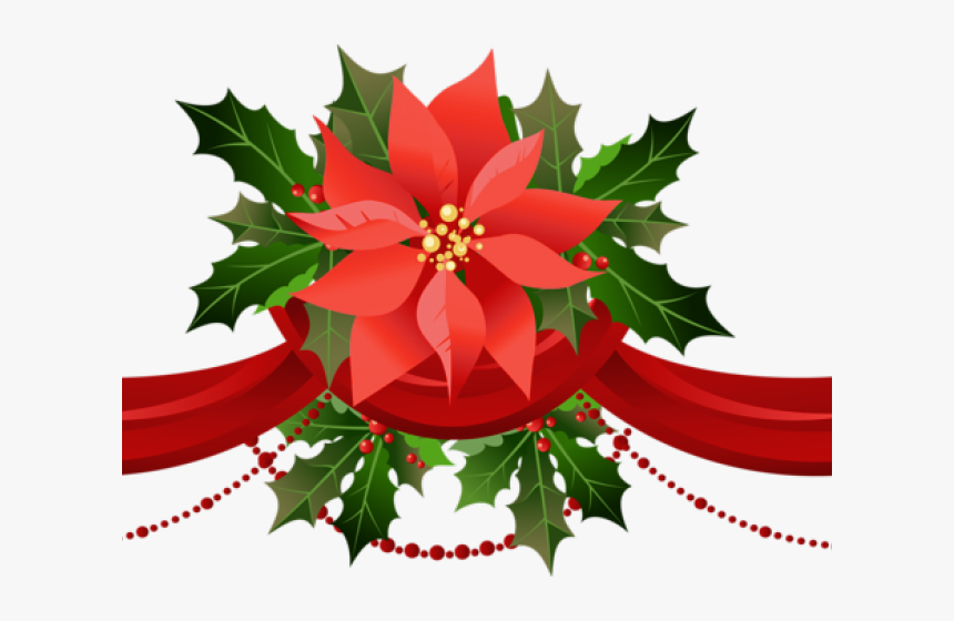 Transparent Christmas Poinsettia Png - Christmas Poinsettia Clipart, Png Download, Free Download