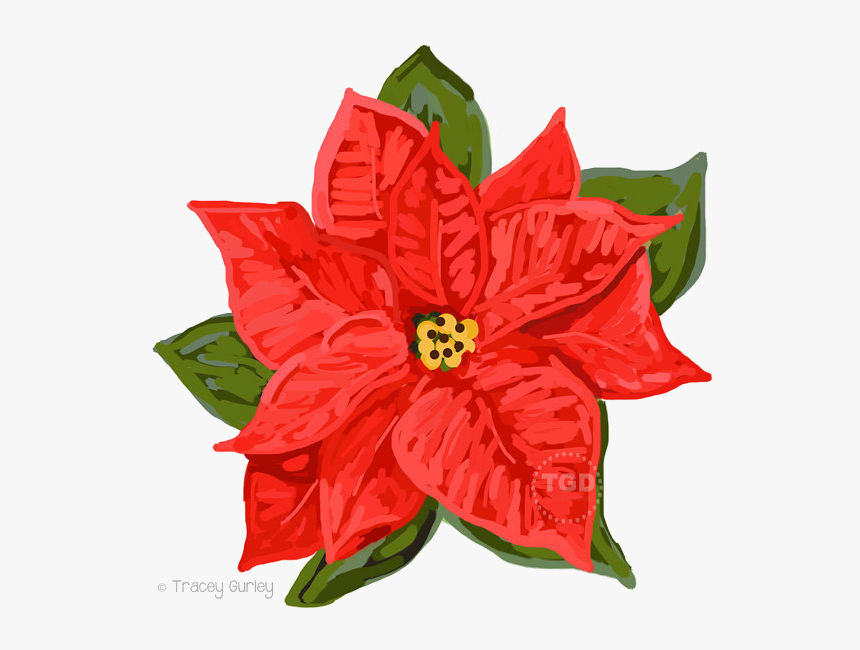 Poinsettia Png Download Image - Poinsettia, Transparent Png, Free Download