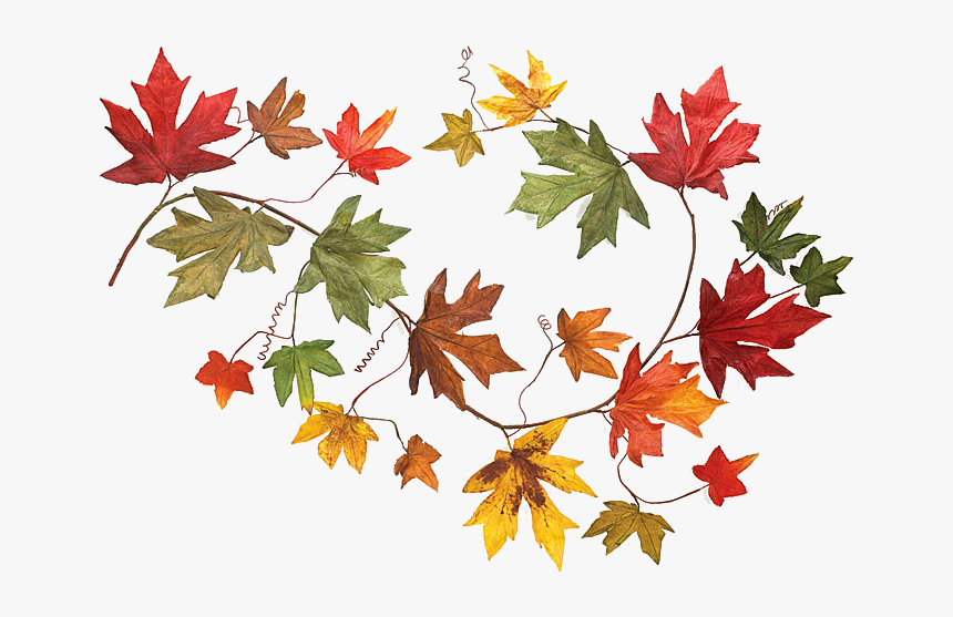 Autumn To Openclipart Garland Download Free Image Clipart - Garland Autumn Leaf Png, Transparent Png, Free Download