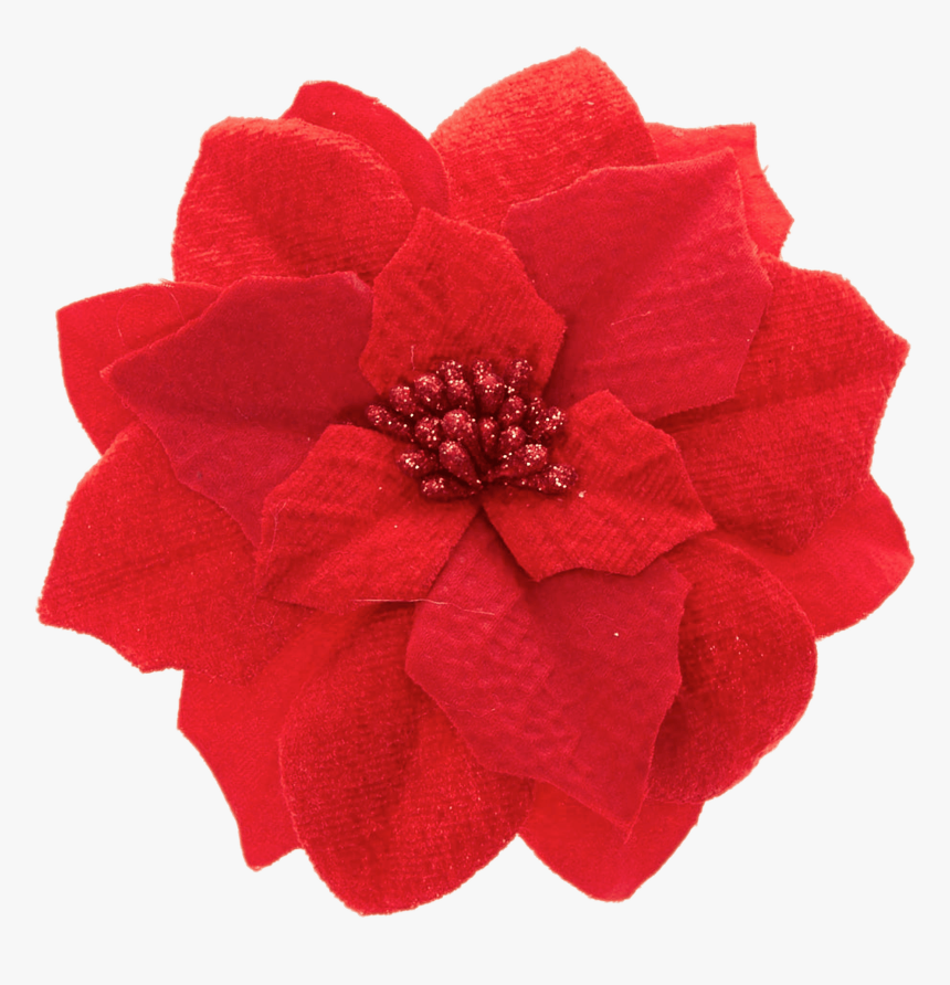 Plant - Poinsettia, HD Png Download, Free Download