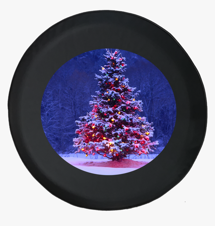 Christmas Tree Lit Up In Winter Snow Forest Holiday - Christmas Tree In Forest, HD Png Download, Free Download