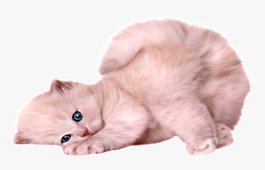 Beautiful And Cute Cartoon Cat Vector Image - Cute Cat Transparent Png, Png Download, Free Download