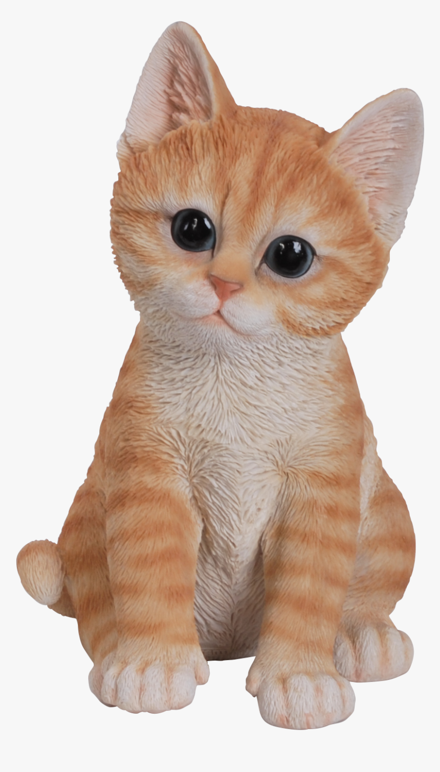 Kittens Transparent Ginger - Cute Cats In Png, Png Download, Free Download