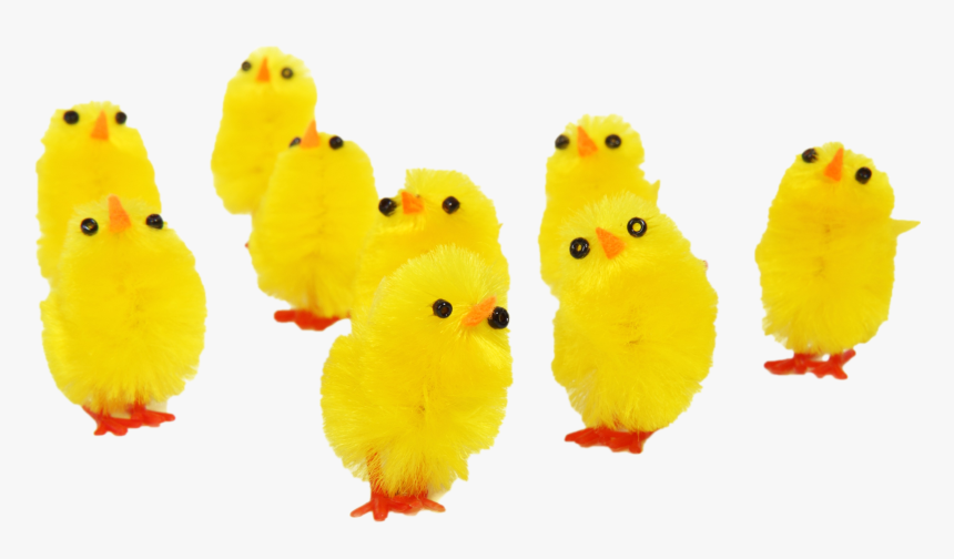 Free Funny Easter Chicks Png Image - Baby Chicks Happy Birthday, Transparent Png, Free Download