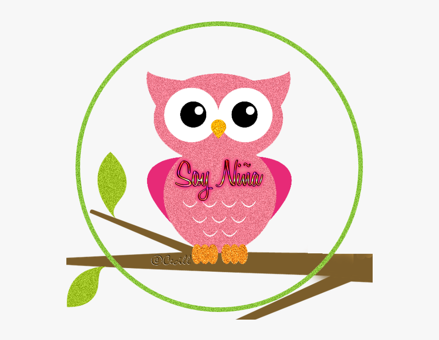 Soy Niña Niño, It"s A Boy Girl, Png - Owl Themed Classroom Rules, Transparent Png, Free Download