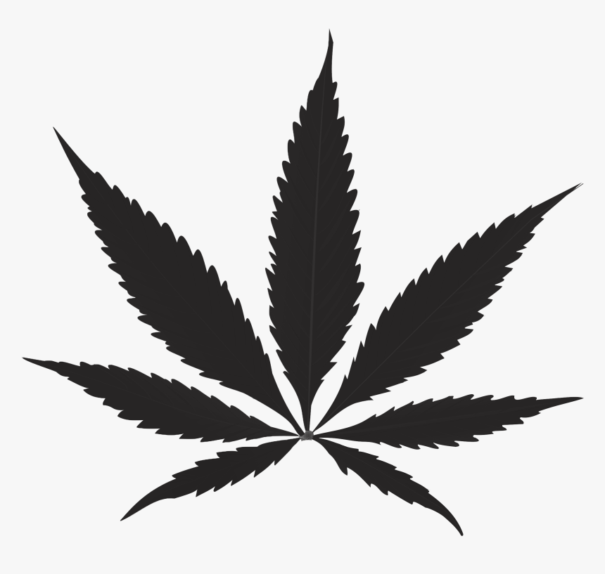 Cannabis Leaf , Png Download - Transparent Background Weed Transparent, Png Download, Free Download