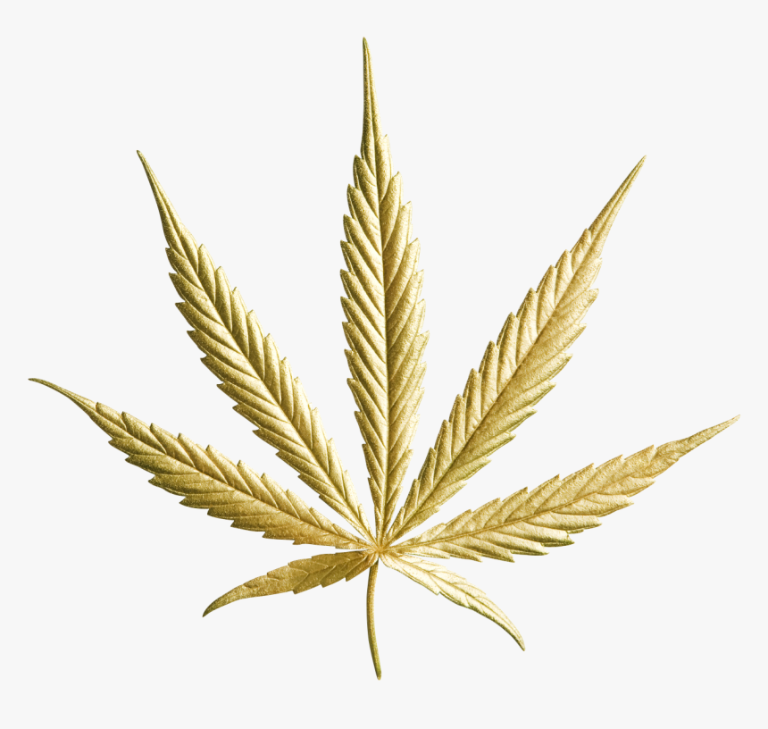 Gold Cannabis Leaf Png , Png Download - Gold Pot Leaf Png, Transparent Png, Free Download