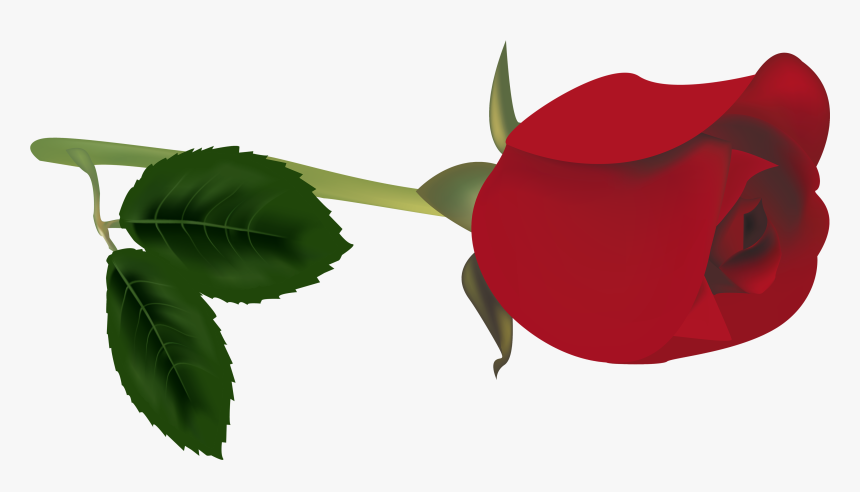 Red Rose Bud Png Clipart - Rose Bud Png, Transparent Png, Free Download