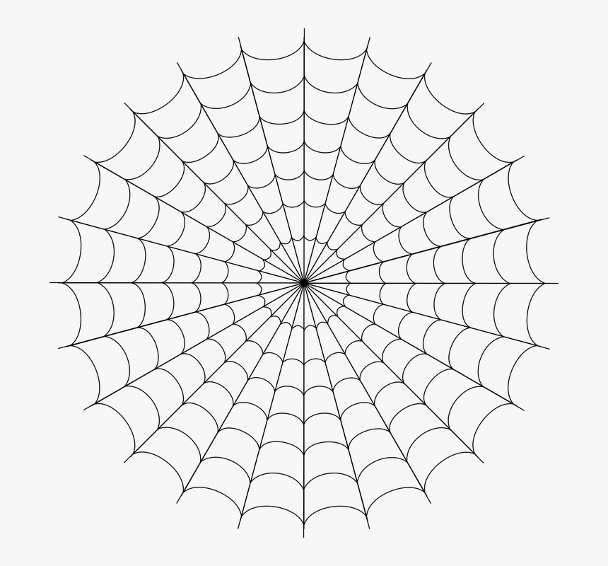 Spider Web, Cobweb, Spider, Web, Creepy, Halloween - White Spider Man Web, HD Png Download, Free Download