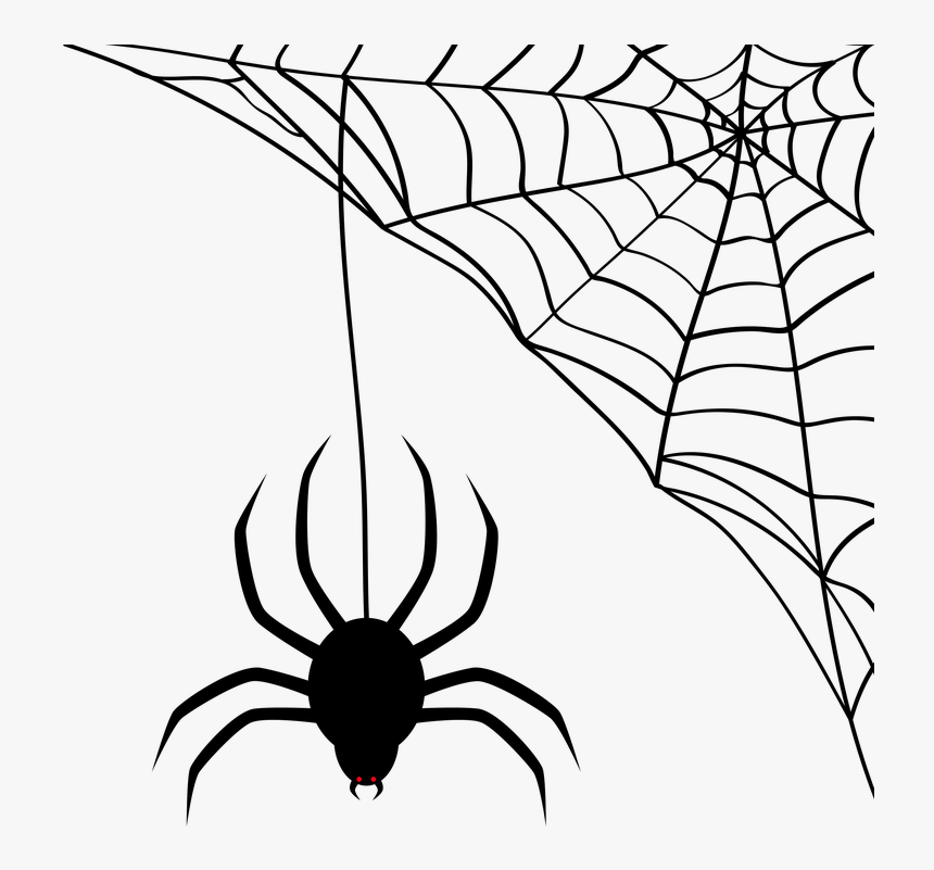 Spider, Web, Cobweb, Halloween, Silhouette, Black - Teias De Aranha Halloween, HD Png Download, Free Download