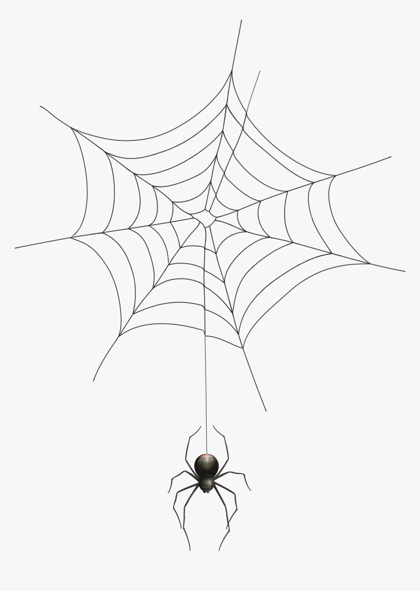 Spiderweb Clipart Realistic - Spider Web Transparent Background, HD Png Download, Free Download