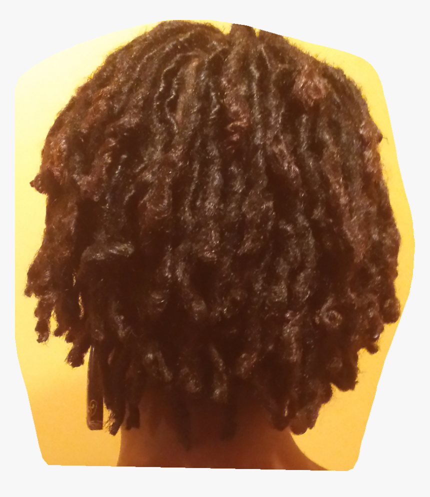 Backview Of Dreadlock - Lace Wig, HD Png Download, Free Download