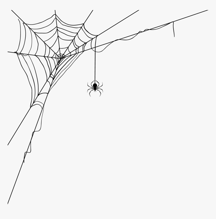 Transparent Spiderwebs Png - Transparent Background Spider Web Png, Png Download, Free Download