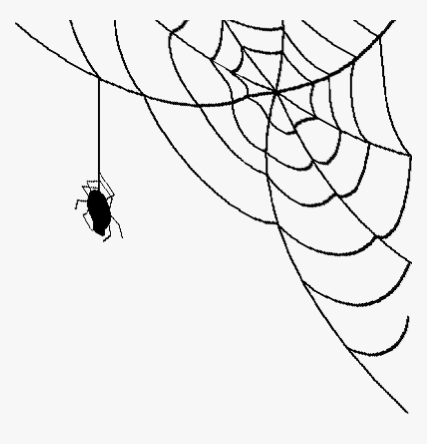 Spider Web Png Bear - Transparent Background Spider Web Png, Png Download, Free Download