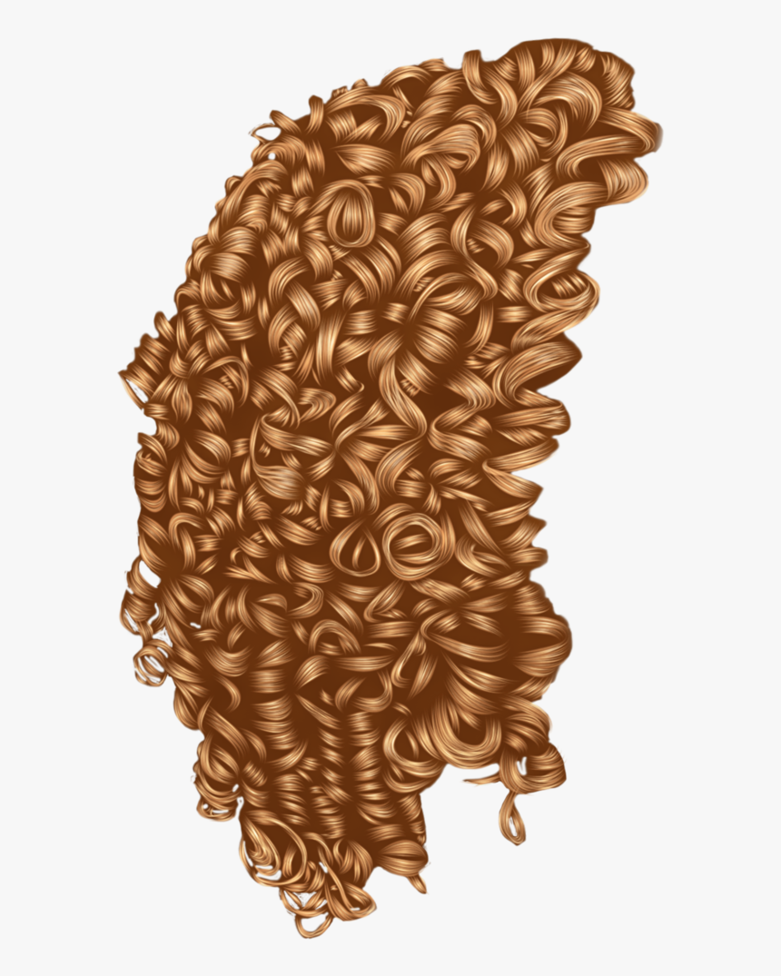 Curls Drawing Curly Hair - Curly Hair Transparent Background, HD Png Download, Free Download