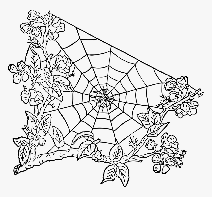 Spider, Spider Web, Halloween, Cobweb, Apple Tree - Spider Web Transparent, HD Png Download, Free Download