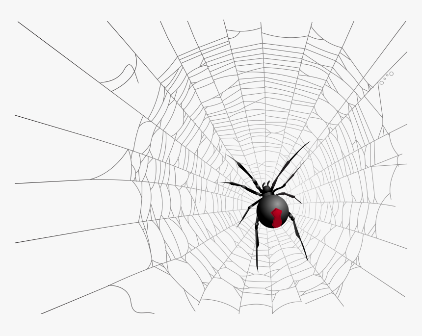 Widow Spiders Halloween Spider Web - Portable Network Graphics, HD Png Download, Free Download