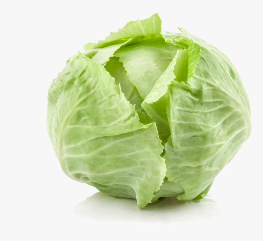 Cabbage Leaf Vegetable Cauliflower Broth - Cabbage Png, Transparent Png, Free Download