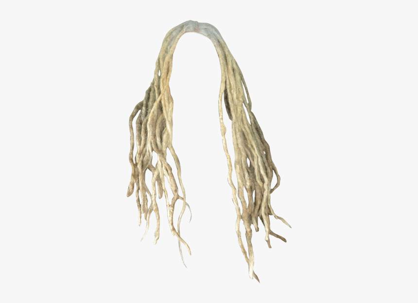 Lace Wig, HD Png Download, Free Download