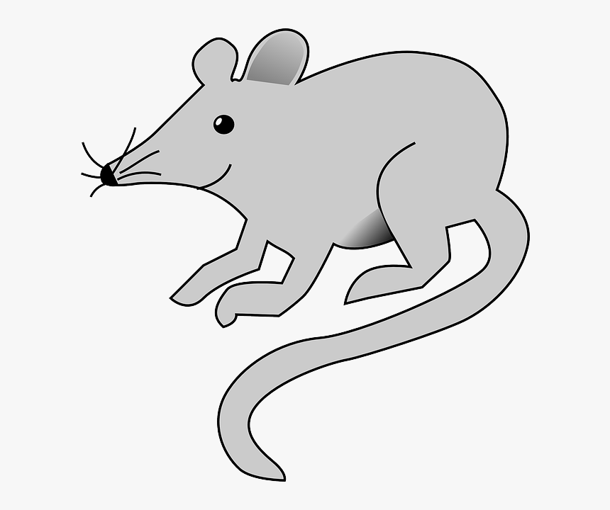Transparent Cartoon Rat Png - Cartoon Mouse Transparent Background, Png Download, Free Download