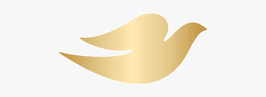 Dove, HD Png Download, Free Download