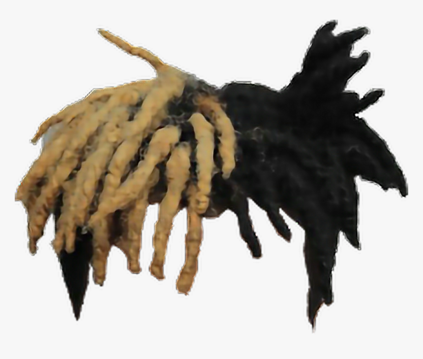 #xxxtentacion #triplex #rasta #rastahair #hair - Xxxtentacion Hair Transparent, HD Png Download, Free Download