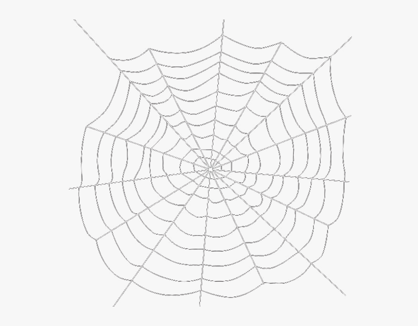 Spider Web Png Transparent Background - Transparent Background Spider Web Png, Png Download, Free Download